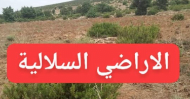 نموذج طلب الاستفادة من الأراضي السلالية