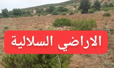 نموذج طلب الاستفادة من الأراضي السلالية